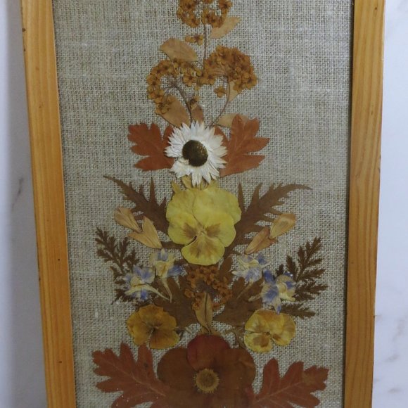 Vintage Polish Import Pressed Flower Framed Art Dated 1976 14 x 7.5